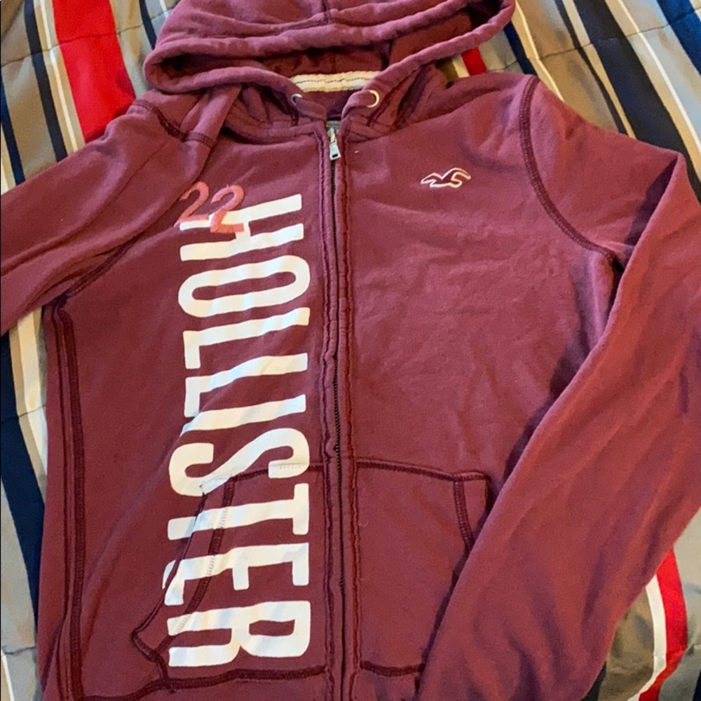 Violet hollister jacket size M